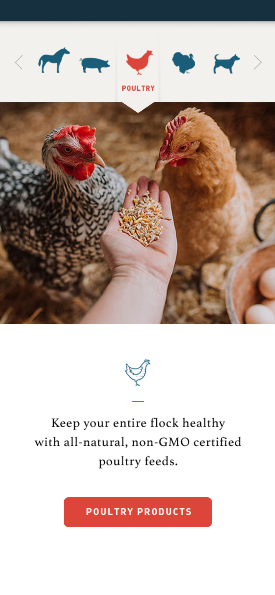 Kalmbach website on mobile showing the product page listing various equine feed
