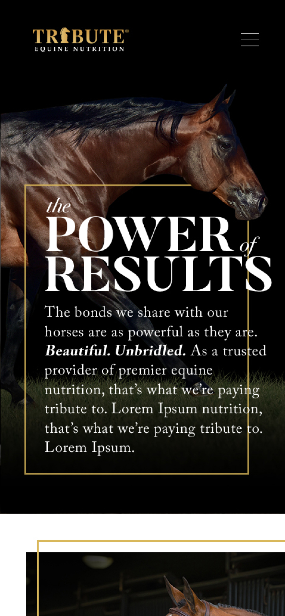 Mobile view of Tribute showing the homepage hero titled "The Power of Results"