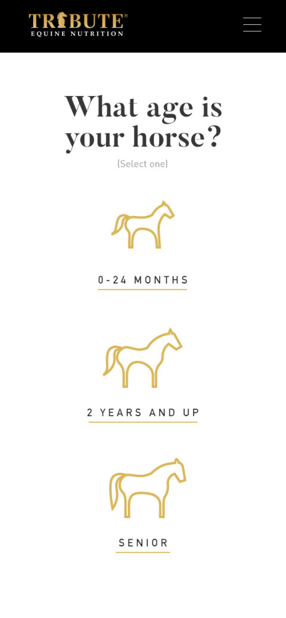 Mobile view of Tribute showing a tool asking "What age is your horse?"