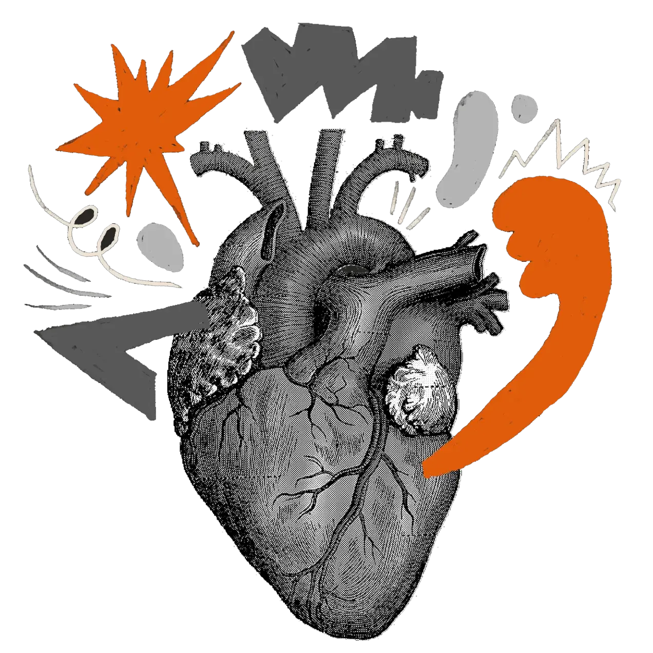 Illustration of abstract elements coming out of a anatomical heart