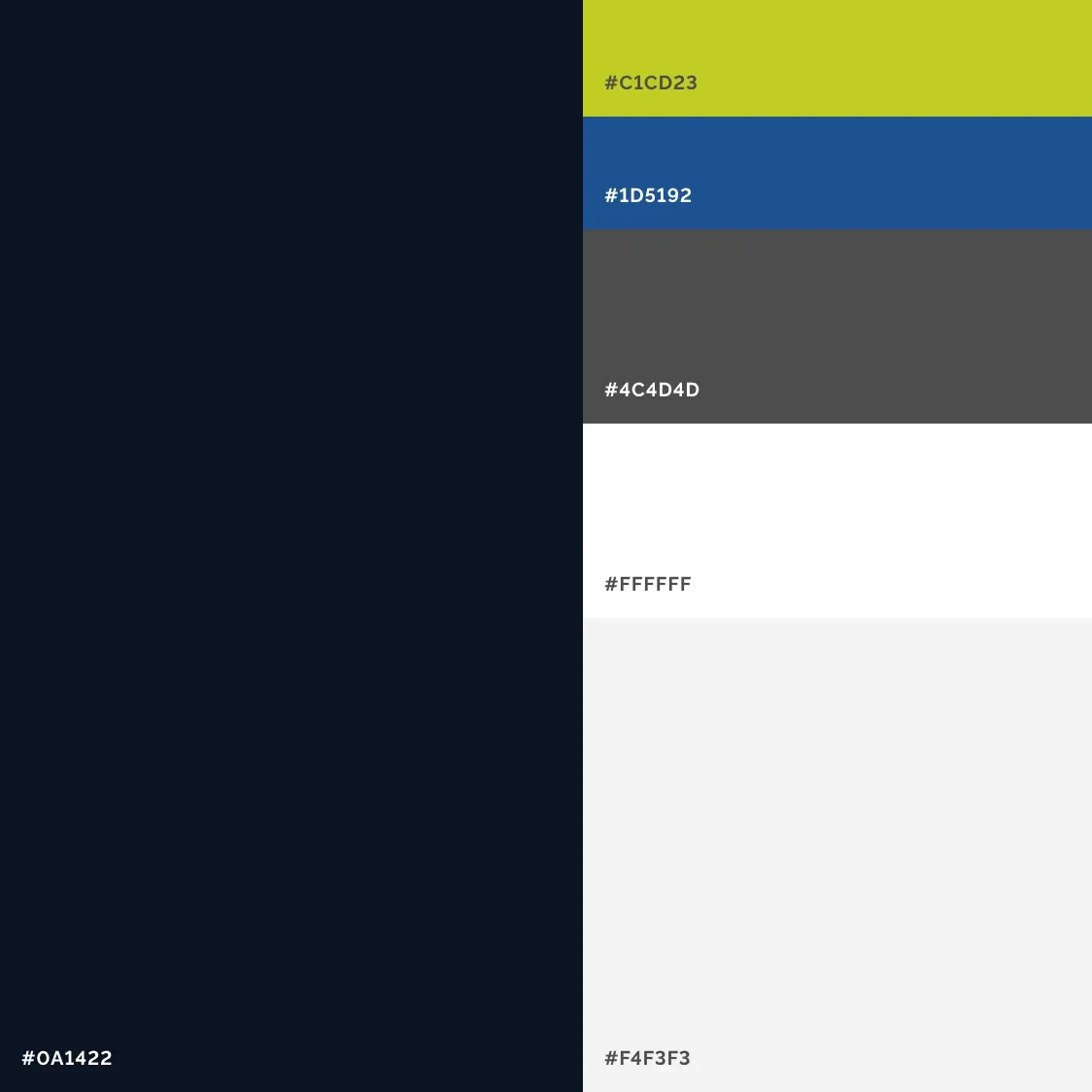 DesignGroup color palette