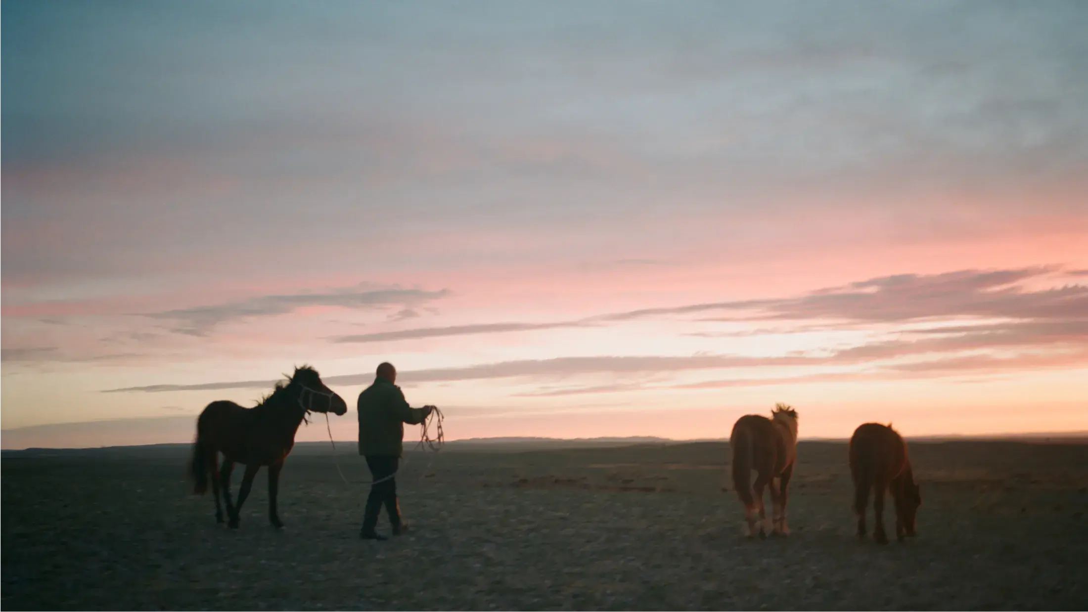 man leading a horse with a sunset in the background