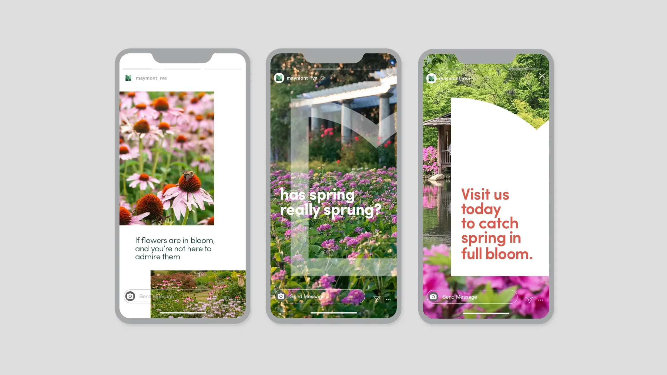 social media templates using maymont's new branding elements