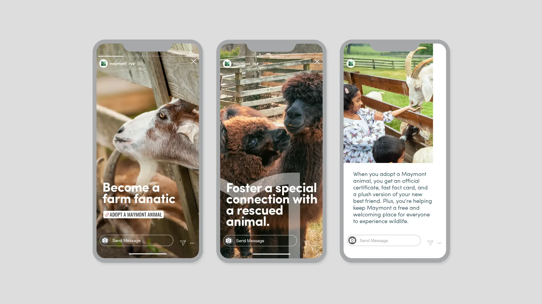 social media templates using maymont's new branding elements