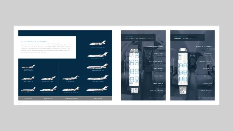 overview of aviation fleet