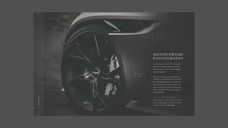 Style guide page on monochrome photography