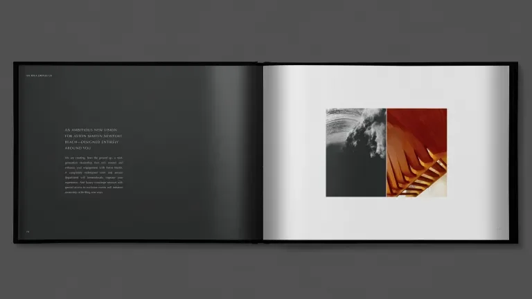 an open book with a black page with text on the left and a white page with two images on the right