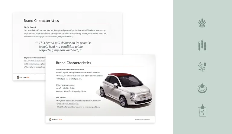 LivSo brand definition slides on the left with iconography vertically stacked on the right