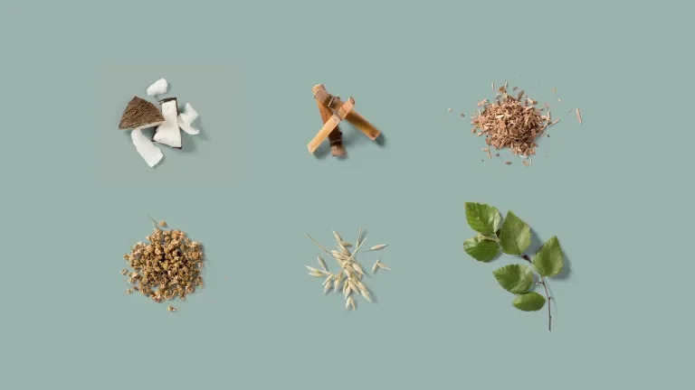 Natural ingredients arranged in a 3x2 grid on a brand colored table