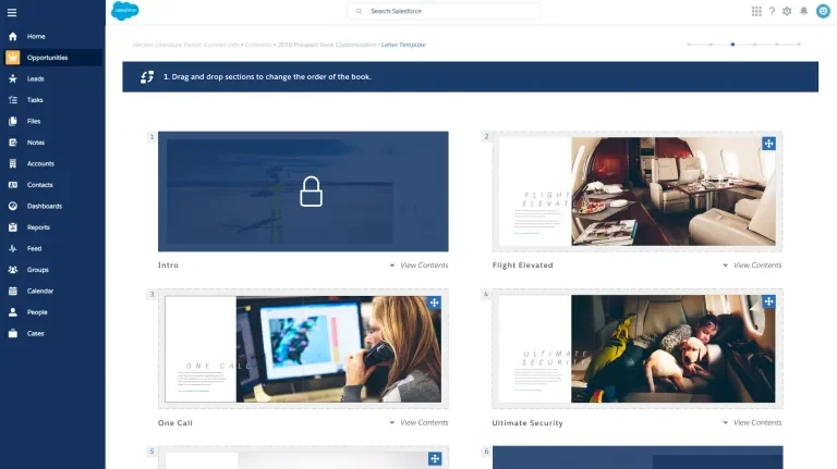 Salesforce view of book