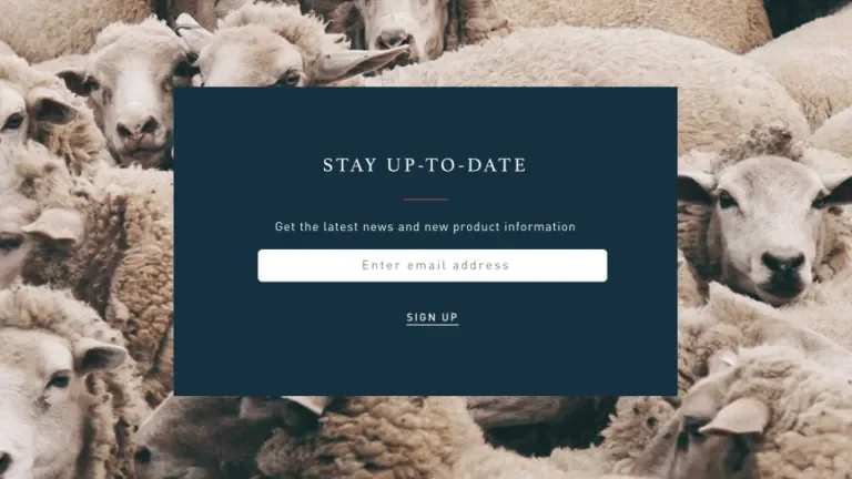 Email newsletter sign-up box with a herd of sheep in the background