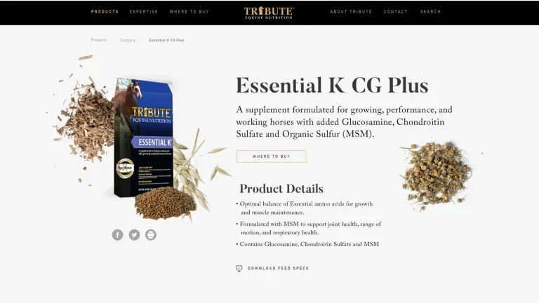 Product detail page for Tribute Essential K CG Plus