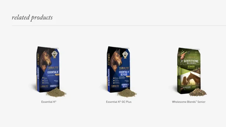 Listing of three related products on Tribute's website