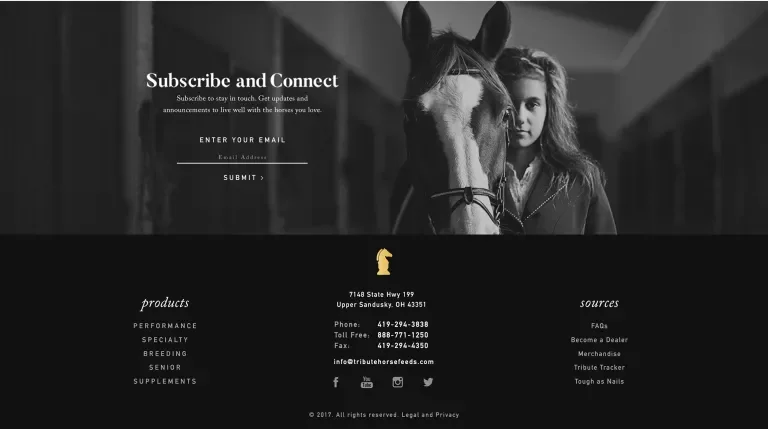 Footer of Tribute's website, showing a newletter sign-up form, quick links and contact information
