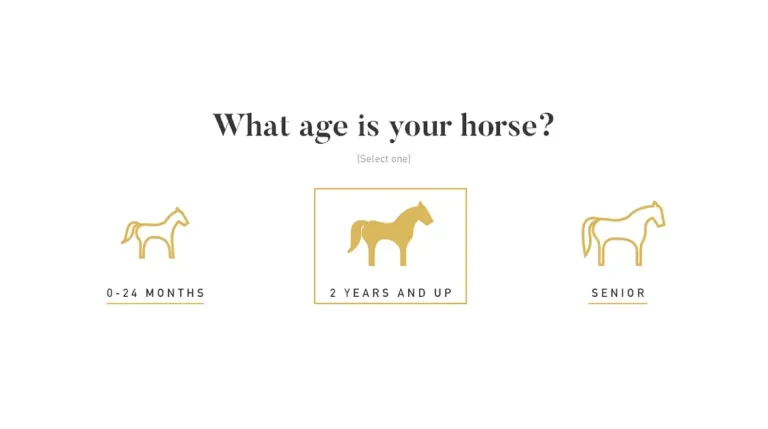 Page on Tribute's website asking "What age is your horse?"