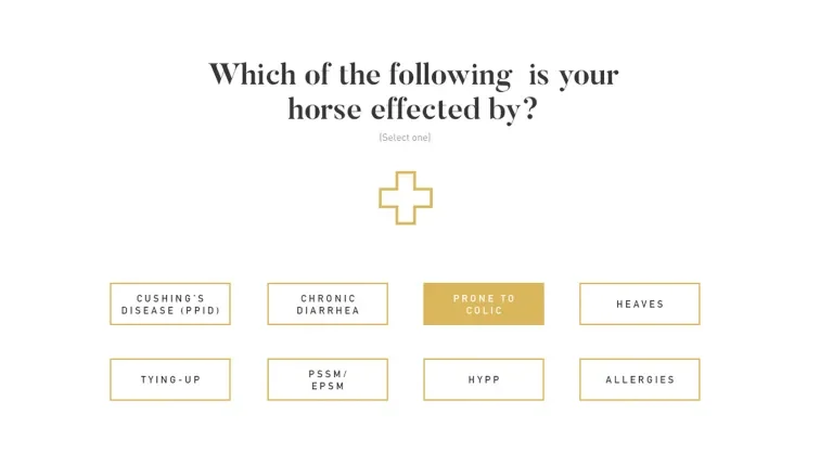 Page on Tribute's website asking "Which of the following is your horse effected by?"