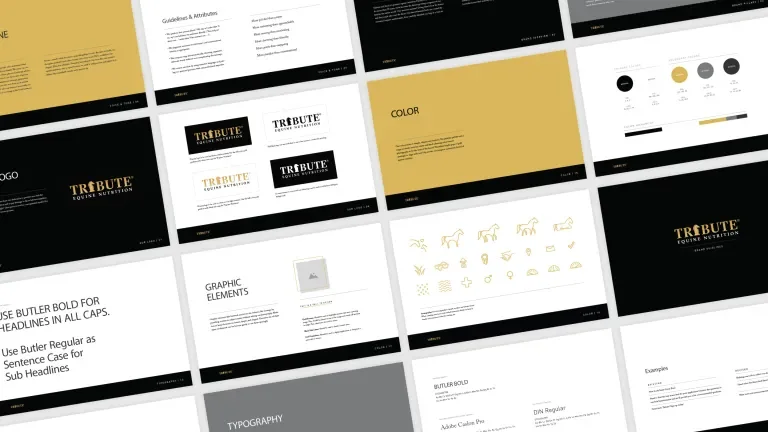 Grid of various screens in the Tribute brand guide