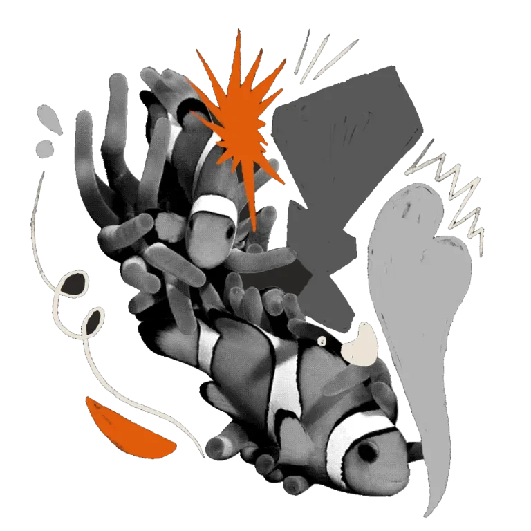 Illustration of two clownfish swimming together