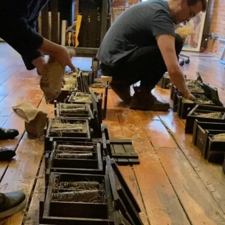 Several wooden boxes in a row being packed