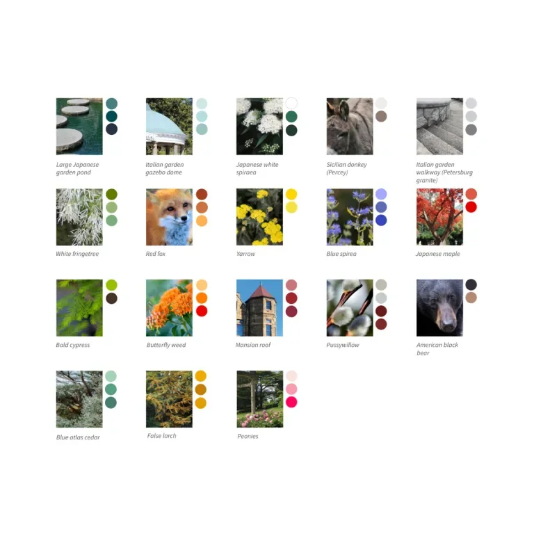 images with associated colors showing what the brand colors were derived from