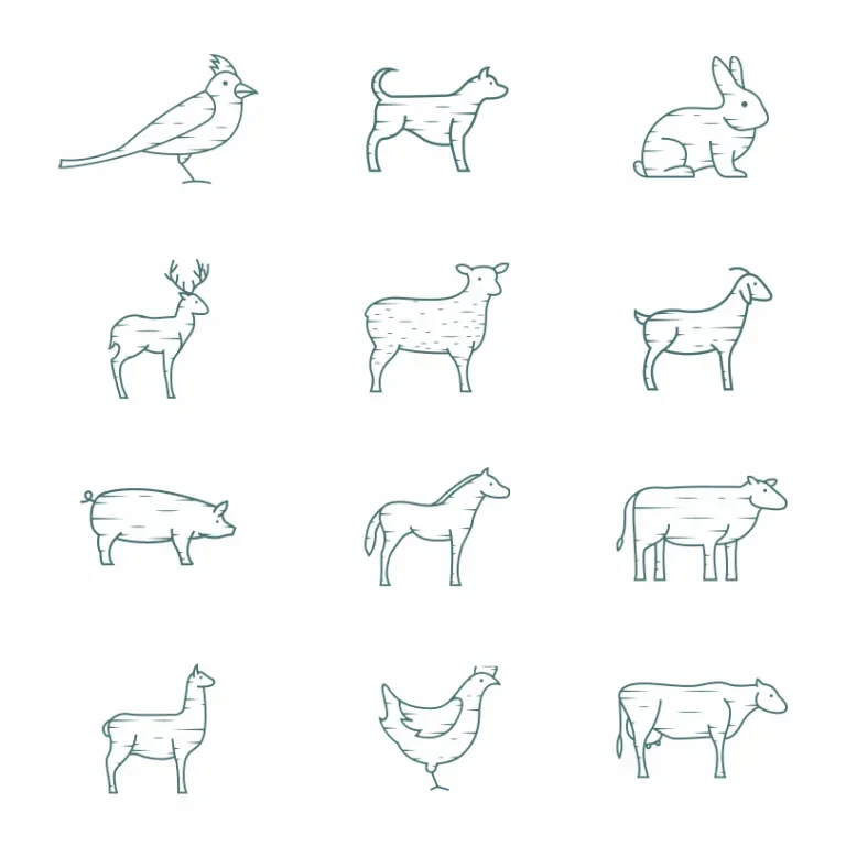 Grid of 12 animal illustrations
