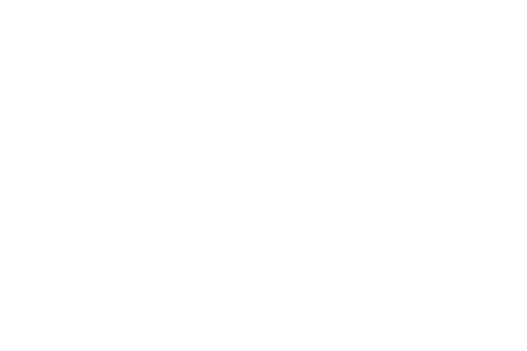 DesignGroup logo