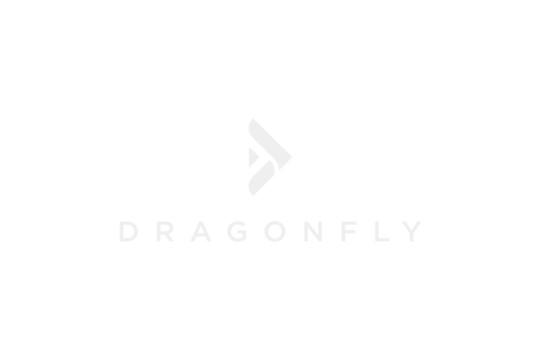 DragonFly logo