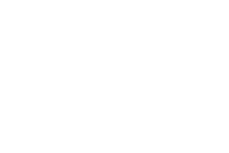 Gridiron Air logo