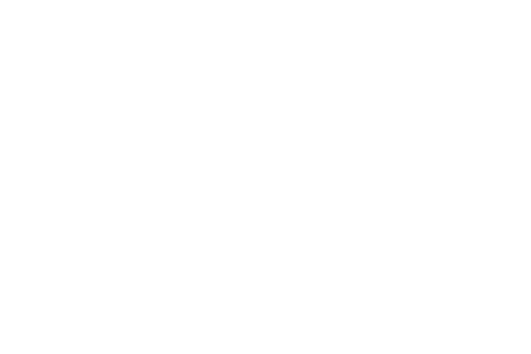 NetJets logo