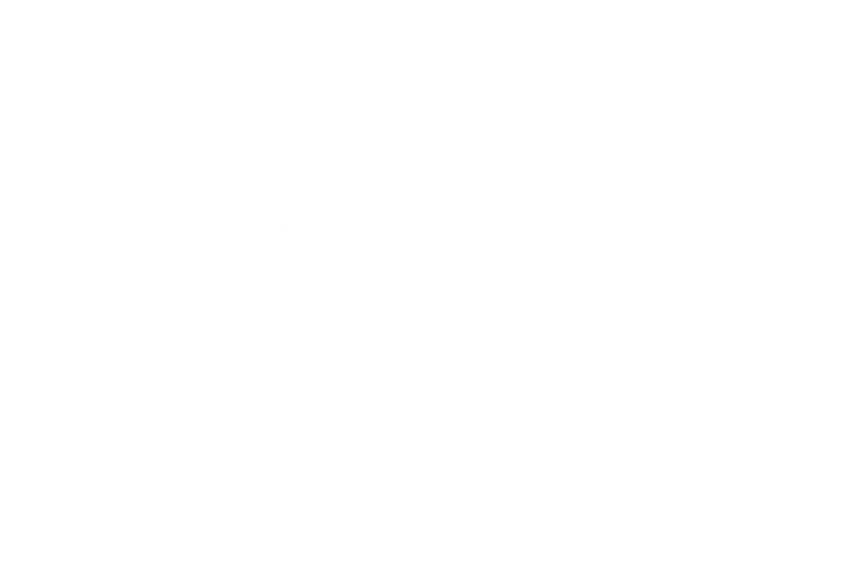 Spacejunk logo