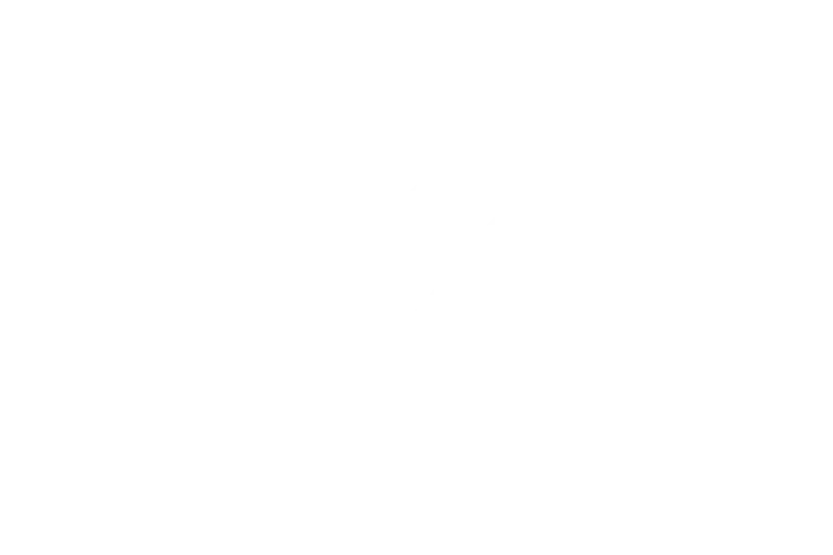 DZ Group Logo