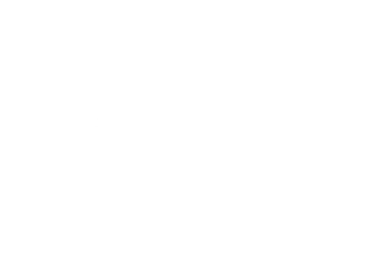 The Kirwan Institute for the Study of Race and Ethnicity Logo