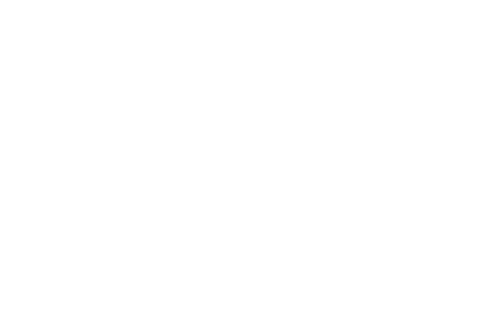 Trivi logo updated