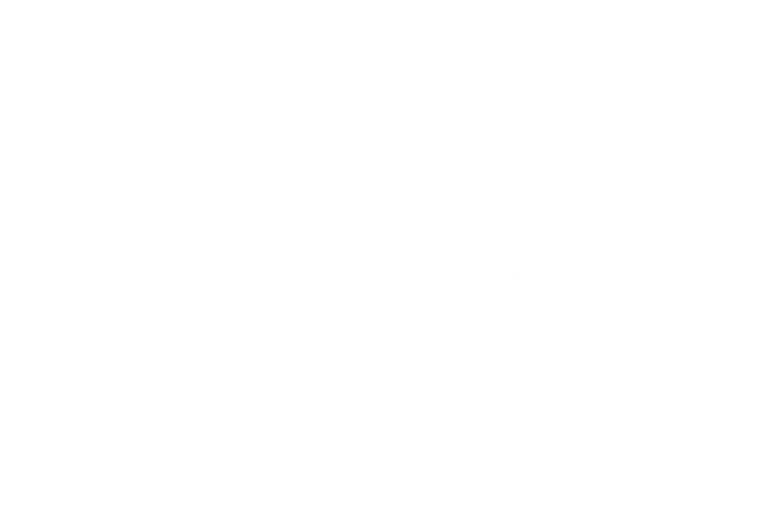 Wolf Logo