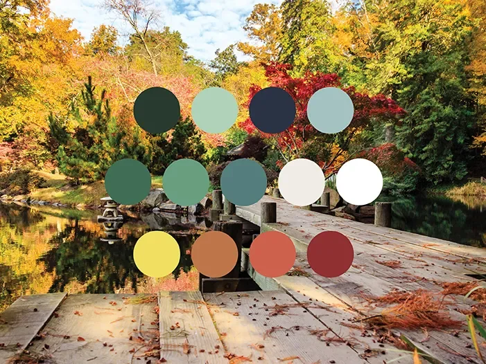 maymont's new primary and secondary color palettes over an image of the japanese gardens