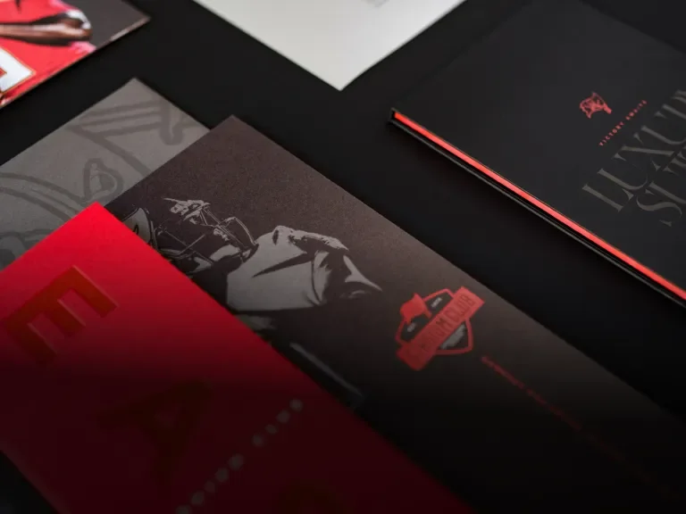 Tampa Bay Bucs Membership Renewal Packages